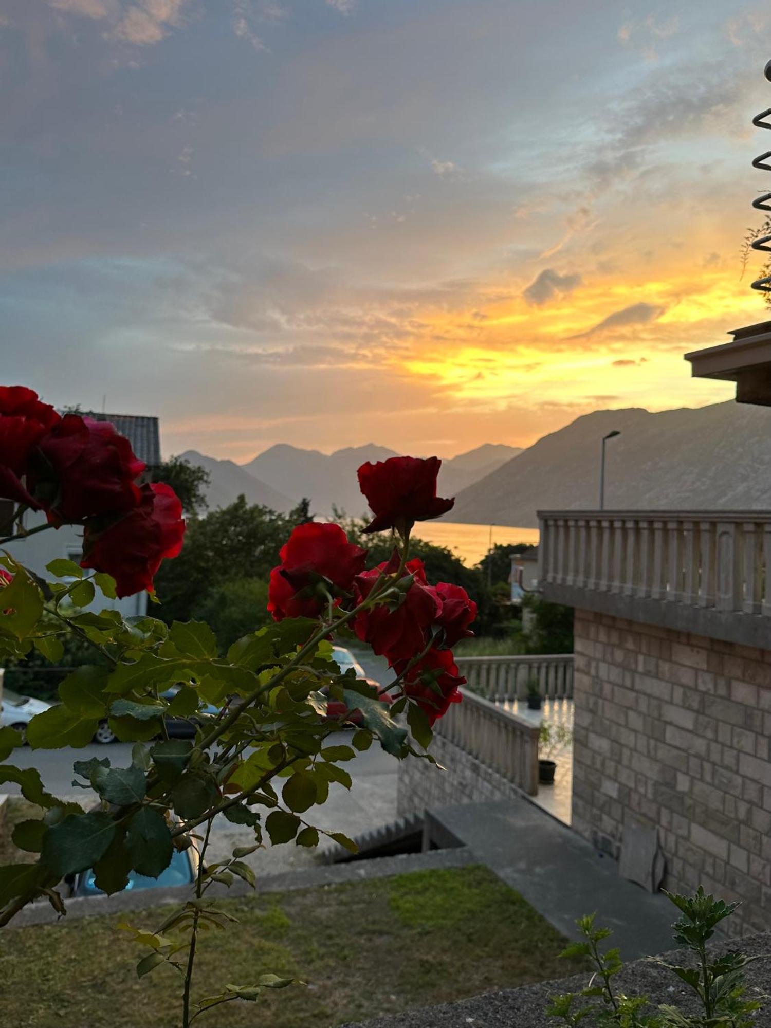 Sunny Apartment Kotor Zewnętrze zdjęcie