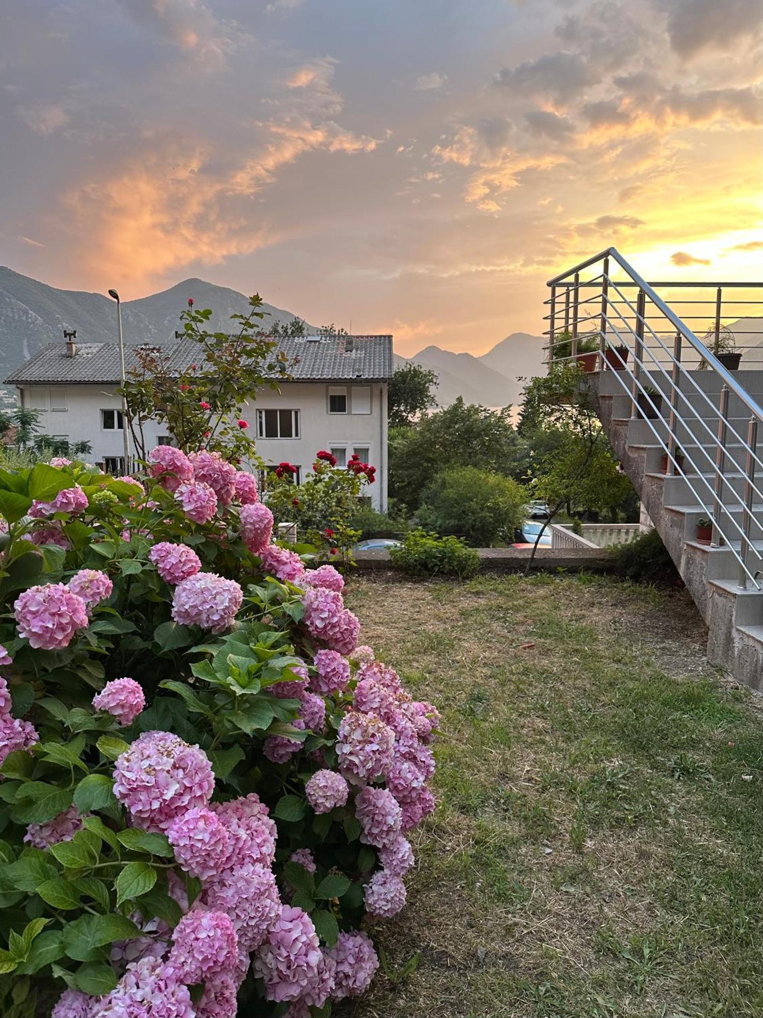 Sunny Apartment Kotor Zewnętrze zdjęcie
