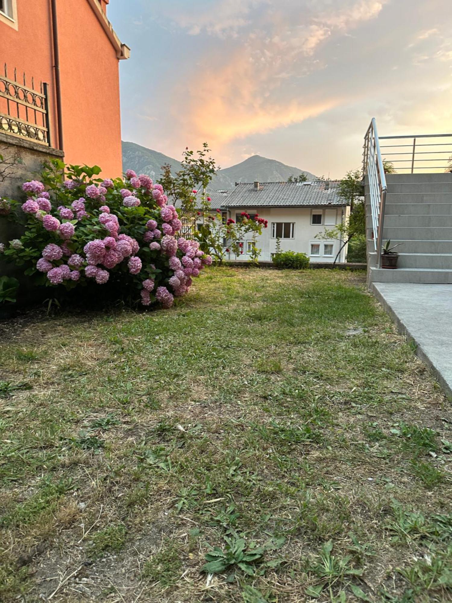 Sunny Apartment Kotor Zewnętrze zdjęcie